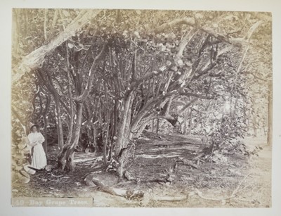 Lot 63 - Bermuda. An album of 24 mounted, circa 1890