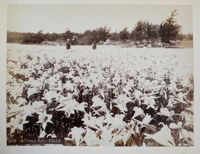 Lot 63 - Bermuda. An album of 24 mounted, circa 1890