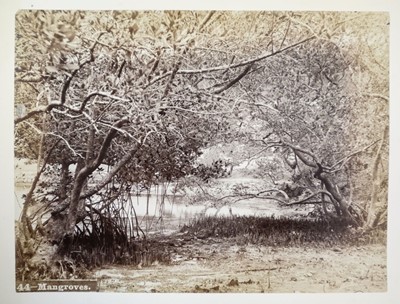 Lot 63 - Bermuda. An album of 24 mounted, circa 1890