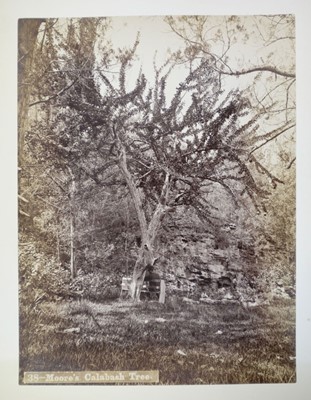 Lot 63 - Bermuda. An album of 24 mounted, circa 1890