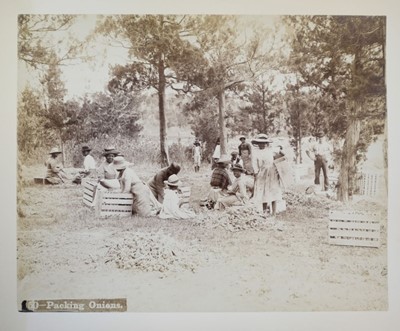 Lot 63 - Bermuda. An album of 24 mounted, circa 1890