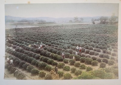 Lot 64 - Japan. A concertina album of 50 colour tinted albumen prints