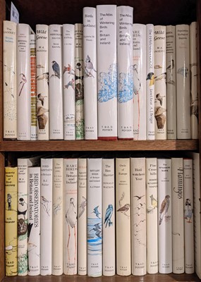 Lot 67 - Ratcliffe (Derek). The Peregrine Falcon, 1st edition, London: T & A D Poysner, 1980