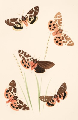 Lot 104 - Mosley (Seth Lister). Illustrations of Varieties of British Lepidoptera, 14 parts, 1878-[1885]