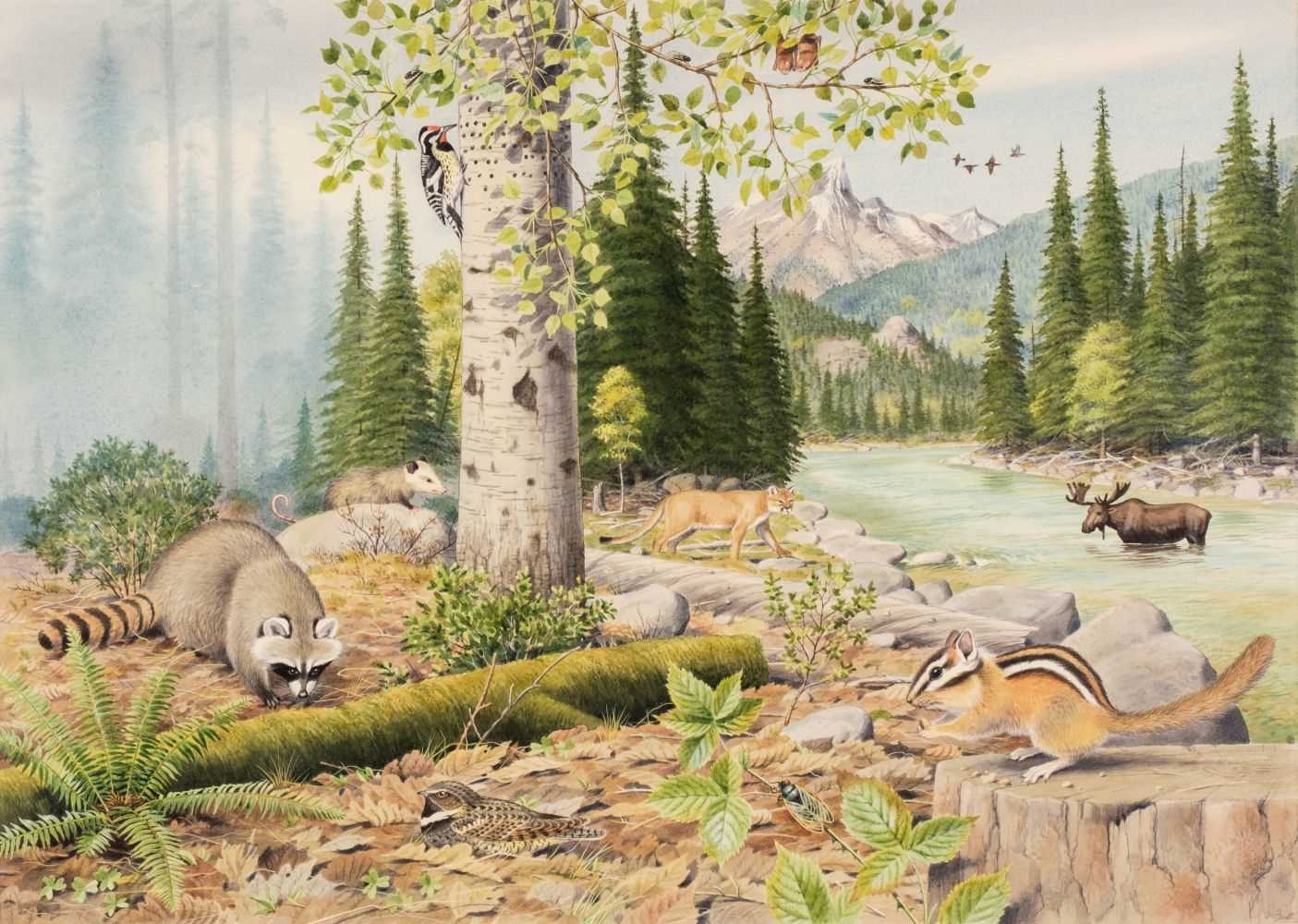 Lot 491 - Barrett (Peter, 1935). North American Mountain Landscape