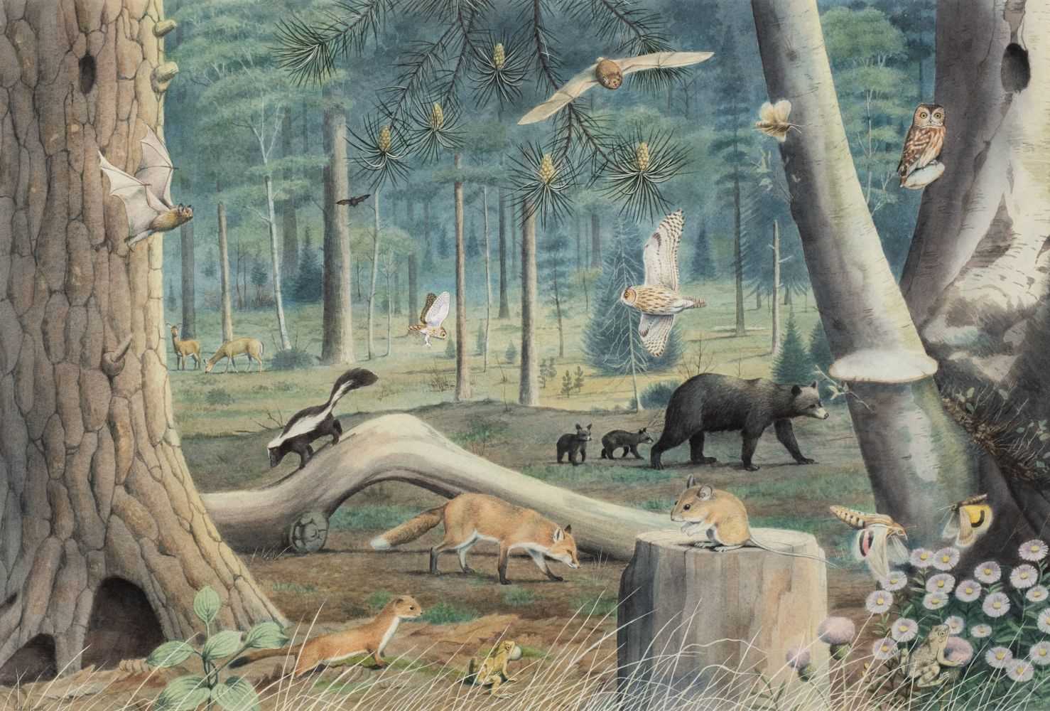 Lot 494 - Barrett (Peter, 1935). American Woodland at Night