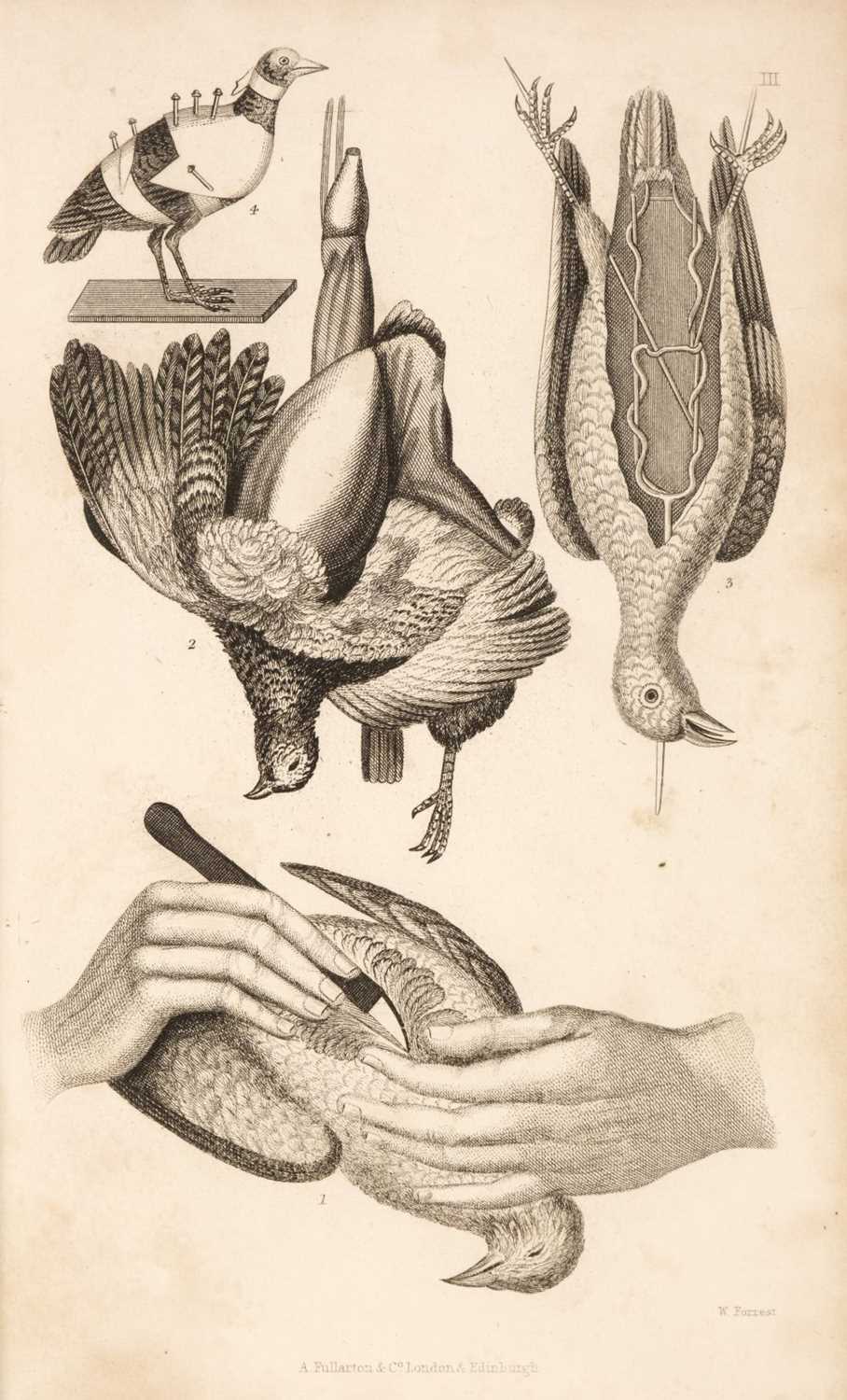 Lot 88 - Brown (Thomas, Captain). The Taxidermist's Manual