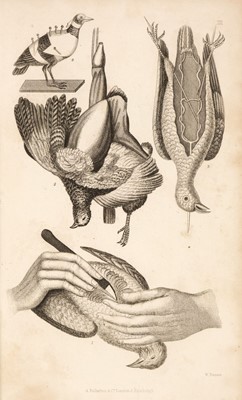 Lot 88 - Brown (Thomas, Captain). The Taxidermist's Manual