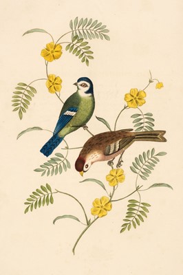 Lot 87 - Brookshaw (George). Groups of Flowers