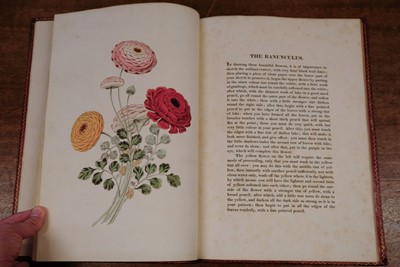 Lot 87 - Brookshaw (George). Groups of Flowers