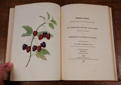 Lot 87 - Brookshaw (George). Groups of Flowers