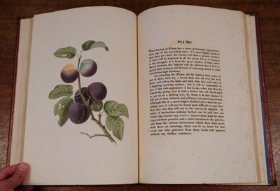 Lot 87 - Brookshaw (George). Groups of Flowers