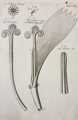 Lot 417 - Medicine & Science. A large collection of 17th to 20th-century medical & scientific reference