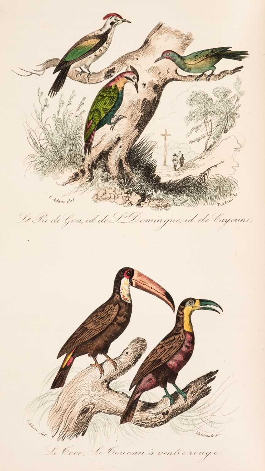Lot 89 - Buffon (Georges Louis Leclerc, Comte de). Keepsake d'Histoire Naturelle, 1839