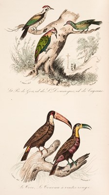 Lot 89 - Buffon (Georges Louis Leclerc, Comte de). Keepsake d'Histoire Naturelle, 1839