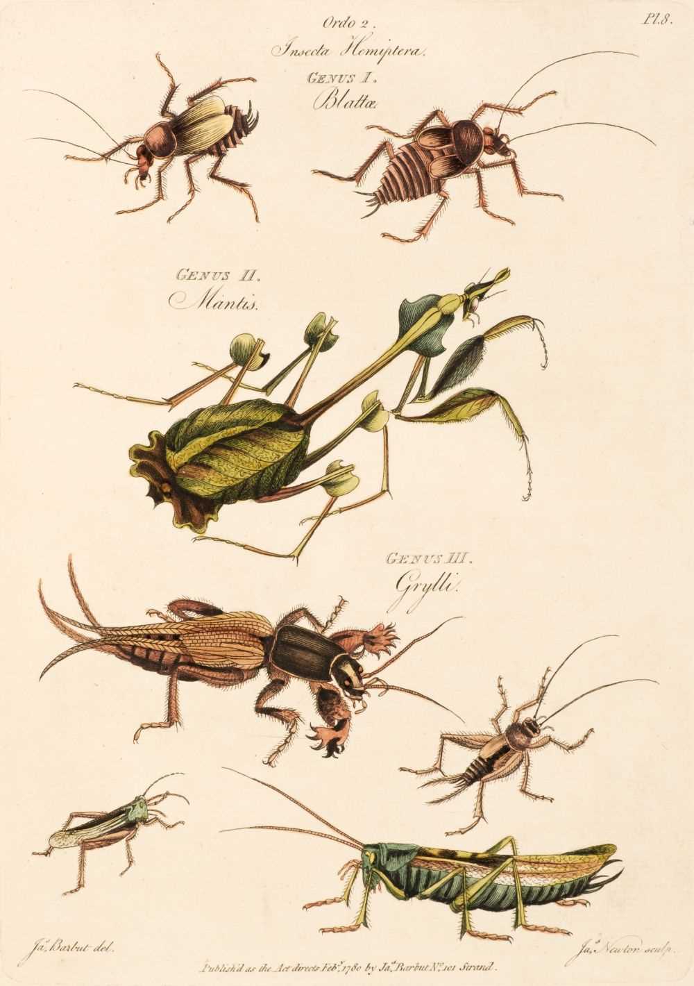 Lot 85 - Barbut (Jacques). The Genera Insectorum of Linnaeus, 1781