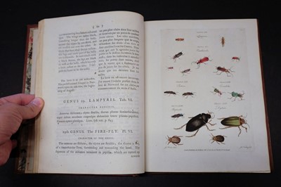 Lot 85 - Barbut (Jacques). The Genera Insectorum of Linnaeus, 1781