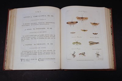 Lot 85 - Barbut (Jacques). The Genera Insectorum of Linnaeus, 1781