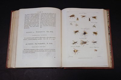 Lot 85 - Barbut (Jacques). The Genera Insectorum of Linnaeus, 1781