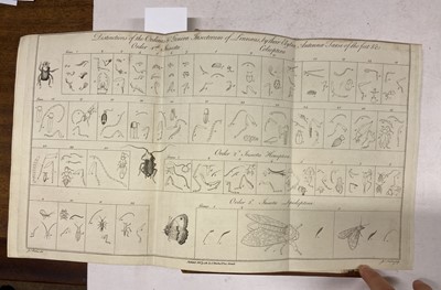 Lot 85 - Barbut (Jacques). The Genera Insectorum of Linnaeus, 1781