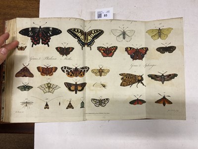 Lot 85 - Barbut (Jacques). The Genera Insectorum of Linnaeus, 1781