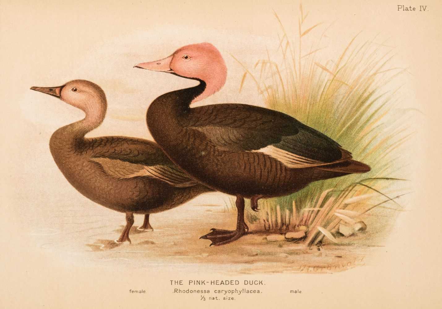 Lot 84 - Baker (Stuart) The Game-Birds of India, Burma & Ceylon, 1921-1930