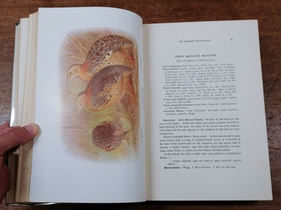 Lot 84 - Baker (Stuart) The Game-Birds of India, Burma & Ceylon, 1921-1930
