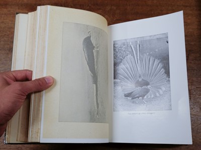 Lot 84 - Baker (Stuart) The Game-Birds of India, Burma & Ceylon, 1921-1930