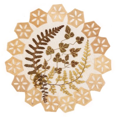 Lot 269 - Dried specimens. An album of fern doilies, Jamaica, late 19th century