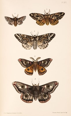 Lot 86 - Morris (F.O.) A Natural History of British Moths, 4 volumes, 1872