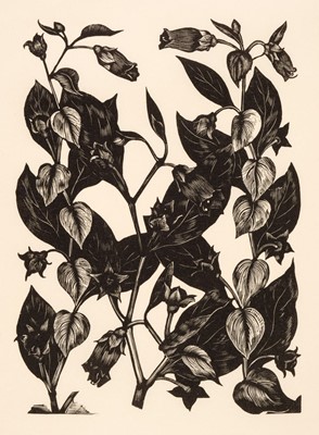 Lot 99 - Nash (John, 1893-1977). Black Bryony, Deadly Nightshade, Yew, and Monk's Head, 1927, 4 wood engravings