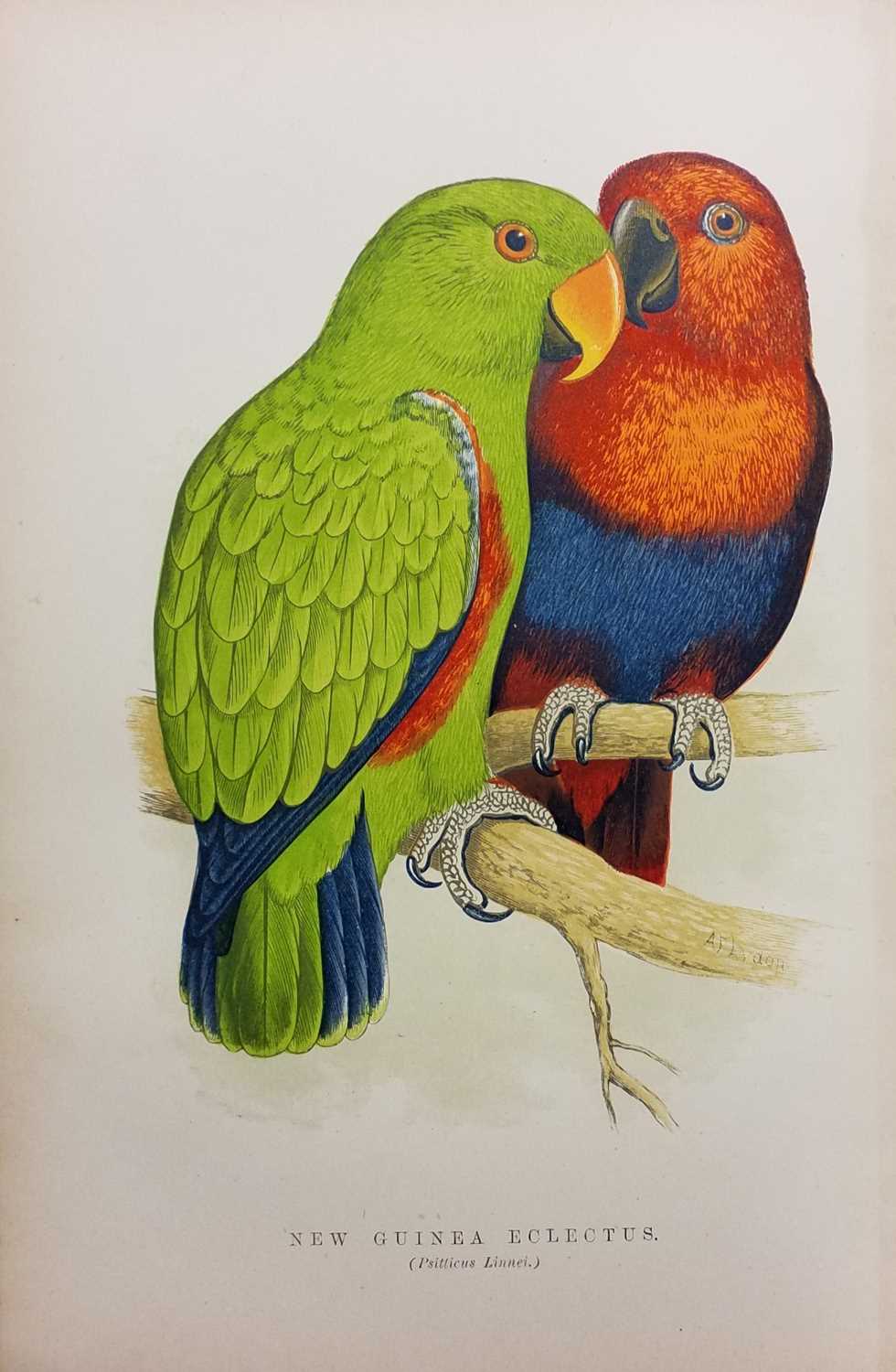 Lot 423 - Natural History. A collection of 19th & 20th-century natural history & astronomy reference