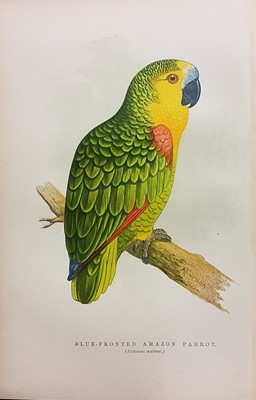 Lot 423 - Natural History. A collection of 19th & 20th-century natural history & astronomy reference