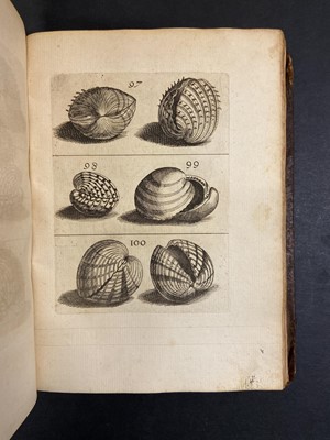 Lot 306 - Buonanni (Filippo). Ricreatione dell'occhio, 1st edition, Rome, 1681