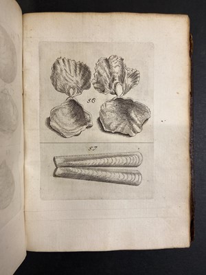 Lot 306 - Buonanni (Filippo). Ricreatione dell'occhio, 1st edition, Rome, 1681
