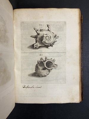 Lot 306 - Buonanni (Filippo). Ricreatione dell'occhio, 1st edition, Rome, 1681