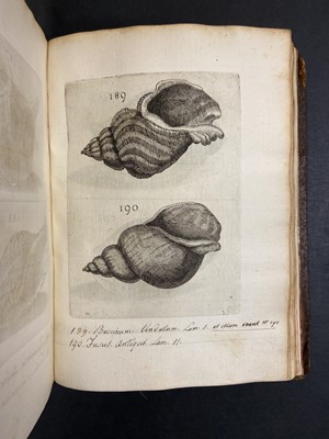 Lot 306 - Buonanni (Filippo). Ricreatione dell'occhio, 1st edition, Rome, 1681