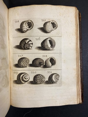 Lot 306 - Buonanni (Filippo). Ricreatione dell'occhio, 1st edition, Rome, 1681