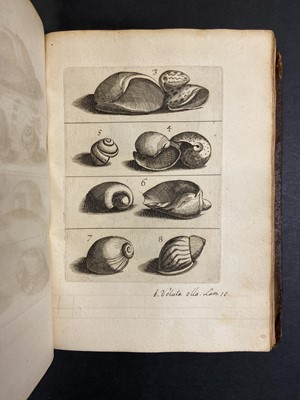 Lot 306 - Buonanni (Filippo). Ricreatione dell'occhio, 1st edition, Rome, 1681