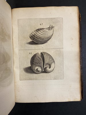 Lot 306 - Buonanni (Filippo). Ricreatione dell'occhio, 1st edition, Rome, 1681