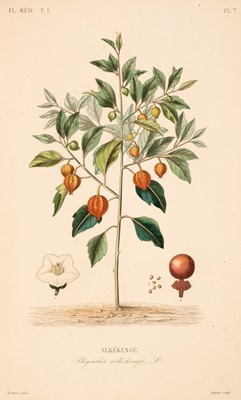 Lot 92 - Dupuis (A. & Reveil, O.). Flore Medicale, Paris: Abel Pilon, 6 volumes, no date, c. 1887