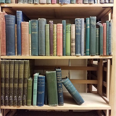Lot 452 - Horticulture. A large collection of 19th & early 20th-century horticulture & botany reference