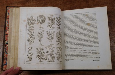 Lot 91 - Culpeper (Nicholas). Culpeper's English Physician; and Complete Herbal...