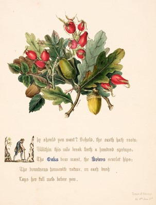 Lot 221 - Giraud  (Jane Elizabeth). The Flowers of Shakespeare, [1845]