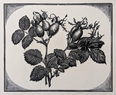 Lot 440 - Rawlinson (William Thomas). Sweet Briar, wood engraving