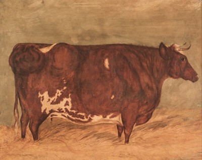 Lot 350 - English Naive School (late 18th century). Young Dandy, portrait of a Longhorn bull