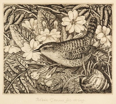 Lot 520 - Tanner (Robin, 1904-1988). Wren and Primroses, 1935