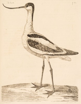 Lot 65 - Pennant (Thomas). The British Zoology. Class I. Quadrupeds. II. Birds..., 1766