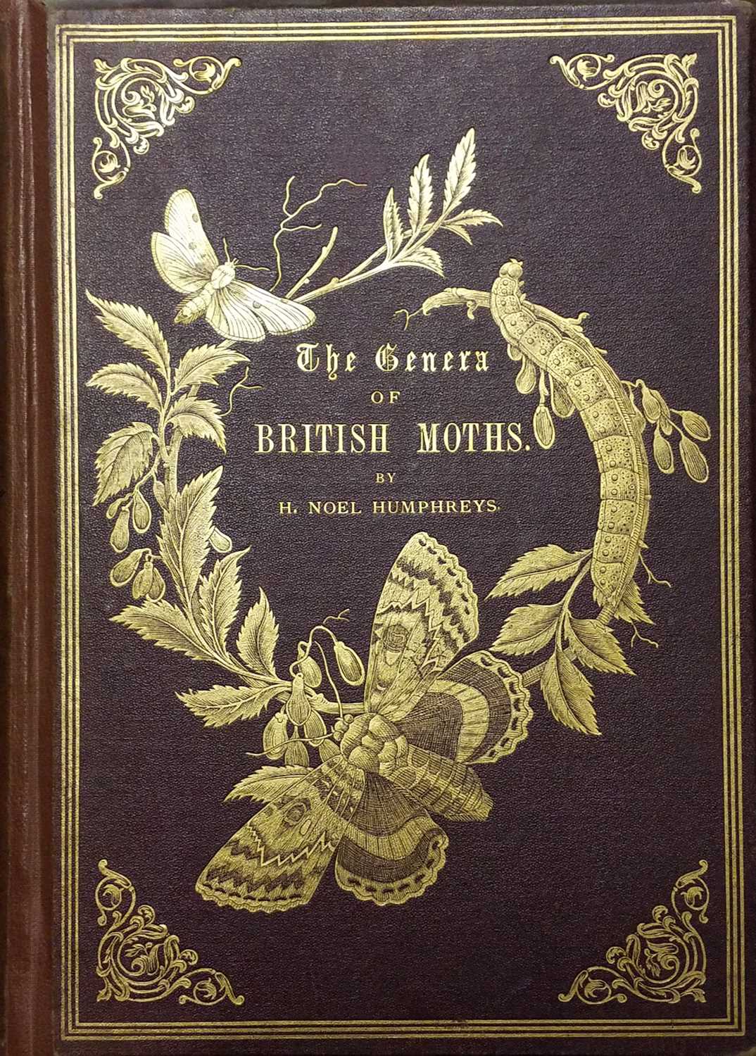Lot 325 - Natural History. A collection of 19th-century 'picture cloth' natural history reference