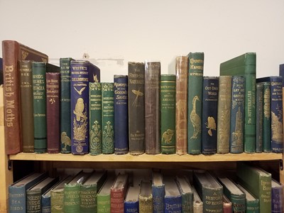 Lot 325 - Natural History. A collection of 19th-century 'picture cloth' natural history reference